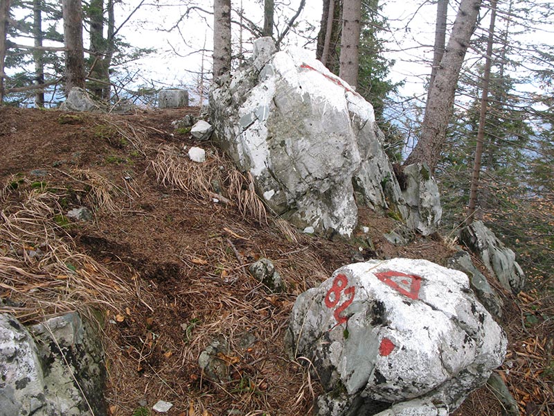 Gipfel des Schwarzenberges